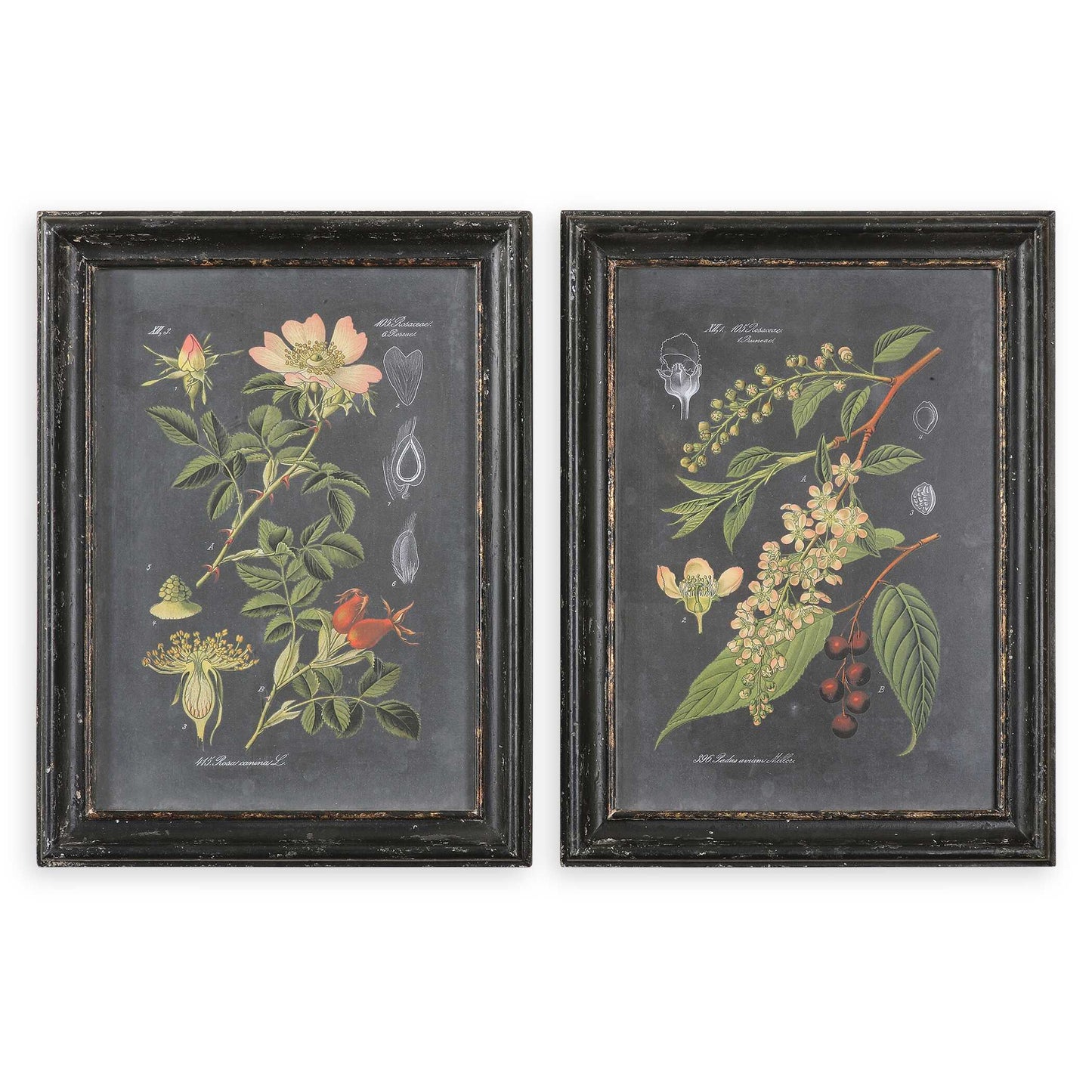 Wood Frame Has A Distressed Black Finish