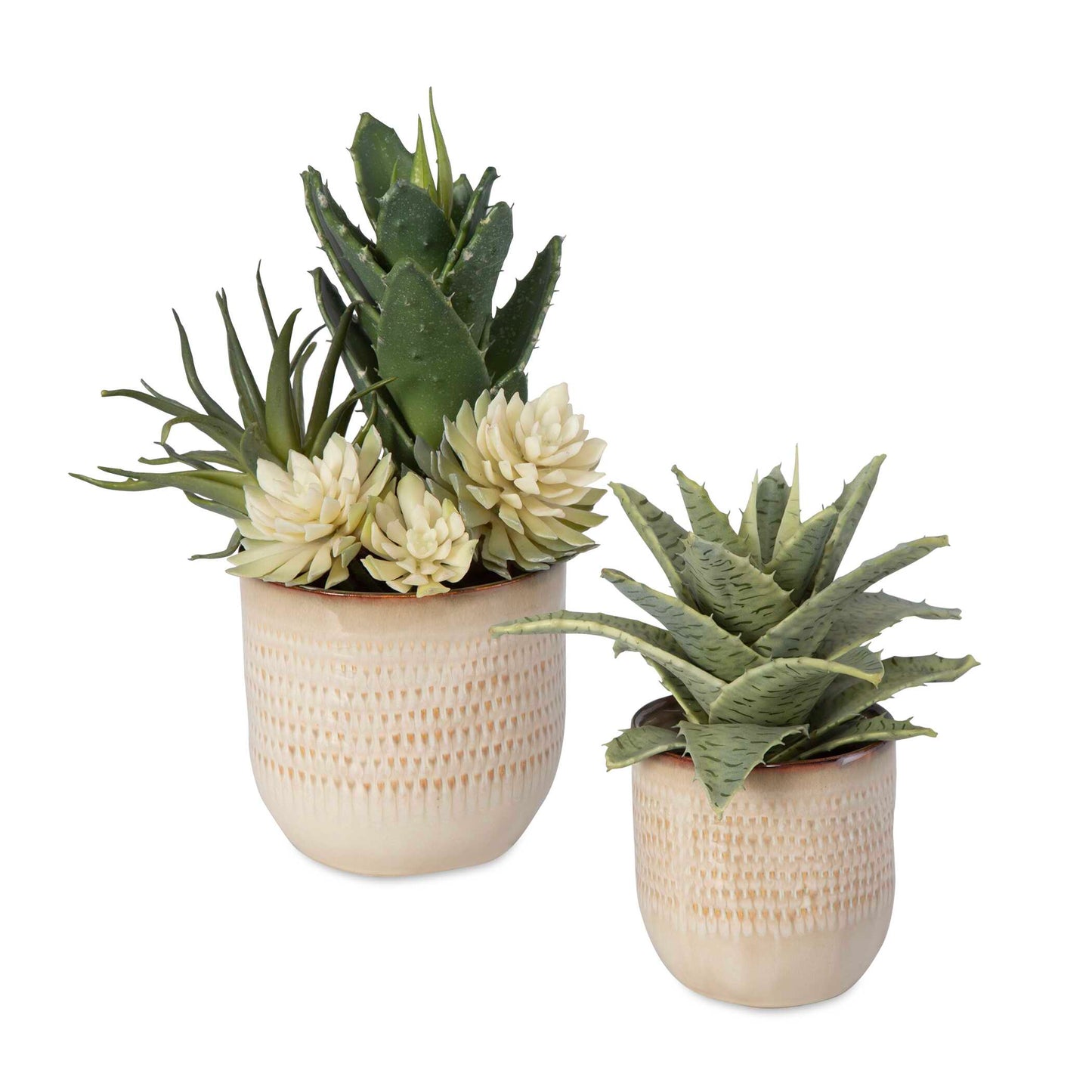 A Refreshing Blend Of Spiked Succulents Set Into Textured Ceramic Containers, Glazed In Neutral Tan Tones. Sizes: Sm-8x9x8, Lg-9x12x7