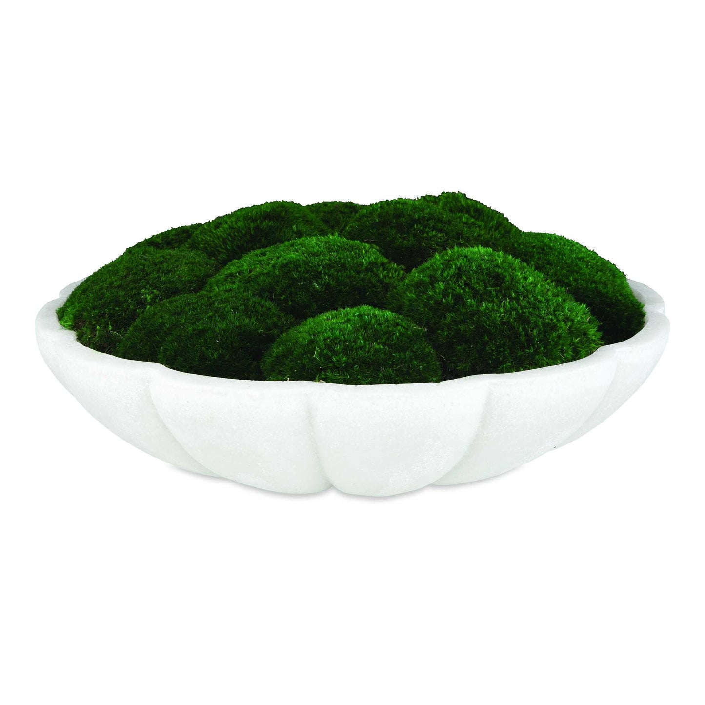 A Clean Sophisticated Look, Featuring Billows Of Naturally Preserved Moss In An Elegant Bowl Crafted From Ivory Man-made Stone That Accurately Replicates The Look Of Thassos Marble.
