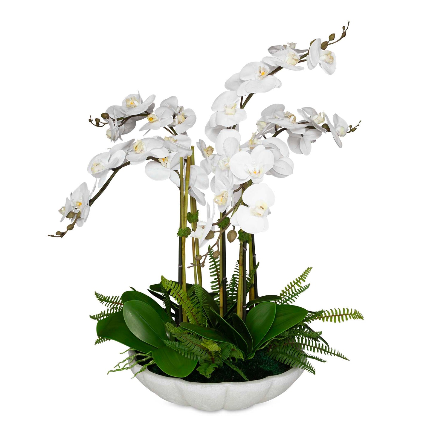 An Absolute Showstopper With Gracefully Arching Stems Of Crisp White, Real-touch Orchids. Adding Lush Appeal Is The Bed Of Naturally Preserved Moss With Boston Fern Accents, Displayed In An Elegant Bowl Crafted From Ivory Man-made Stone That Accurately Replicates The Look Of Thassos Marble.