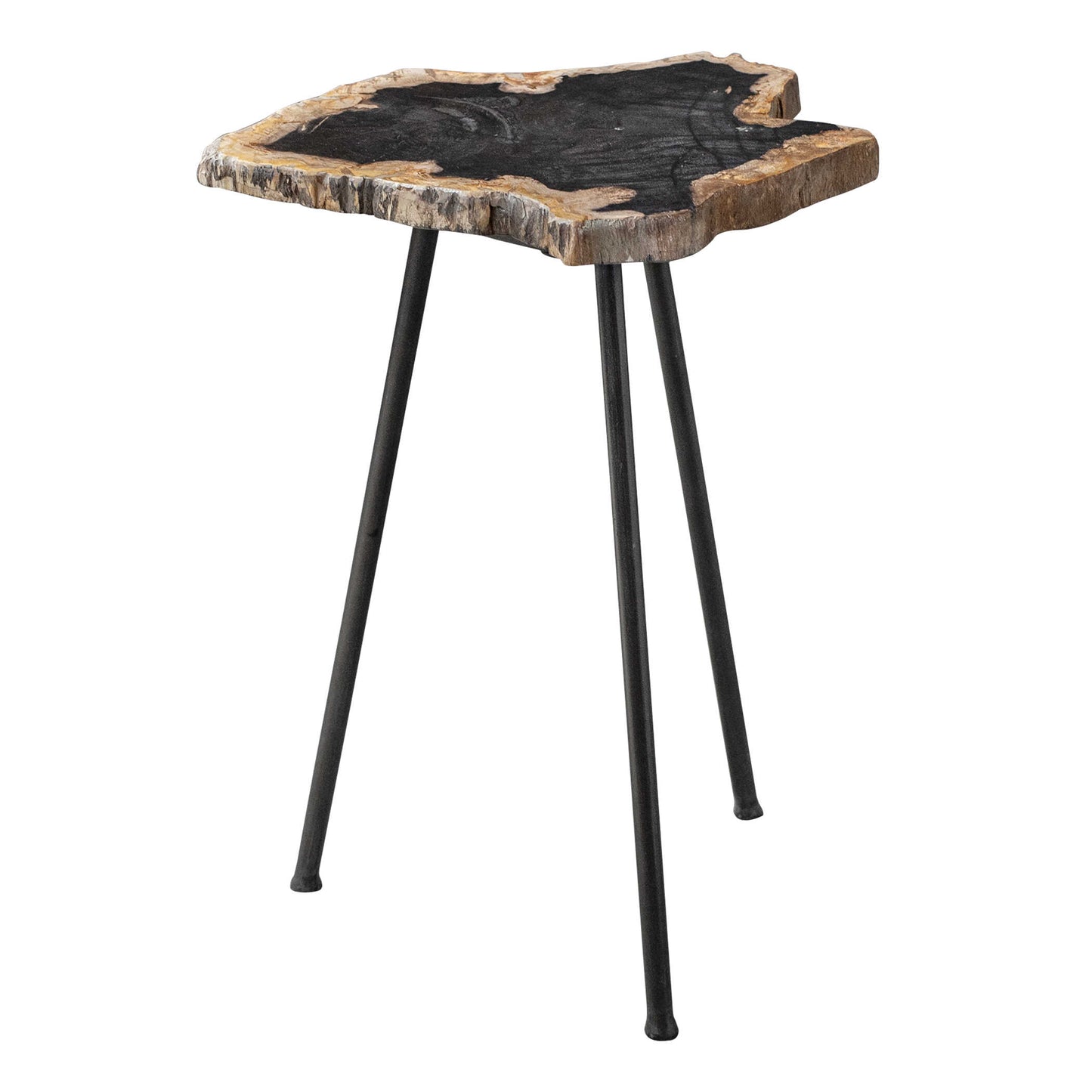 Featuring A Striking Cross Section Of Natural Petrified Wood With Unique Graining Details, Paired With Aged Black Finished Iron Legs. Due To The Authentic Nature Of The Design, Each Peace Will Have Unique Color Variations And A Size Range Of 10-17" Diameter.
