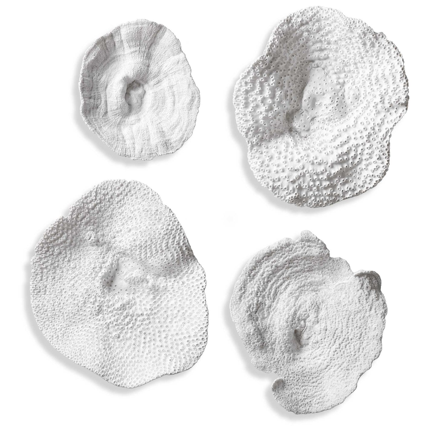 Heavily Textured To Mimic Live Sea Coral, Finished In Antique White.