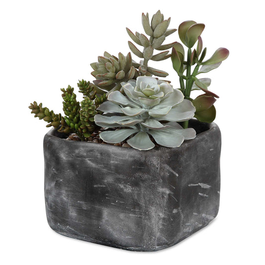 A Contemporary Desert Garden Mix Of Succulents Accented With An Arid Bed Of Natural Pebbles In A Mottled Charcoal Gray Concrete Planter.