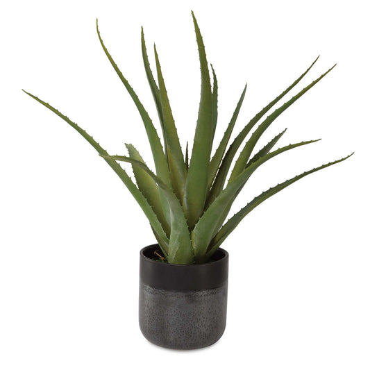 A Contemporary Ceramic Pot With Textured, Matte And Gloss Glazes Refreshes This Aloe Vera Accent Piece, Placed Over A Bed Of Preserved Moss.