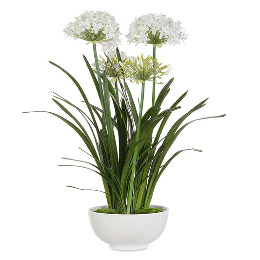 A Grand Statement And Symbol Of Purity And Beauty, This Lifelike White Agapanthus Reaches Almost 40" Tall And Rests Atop Faux Moss And Soil In A Gloss White Ceramic Planter.