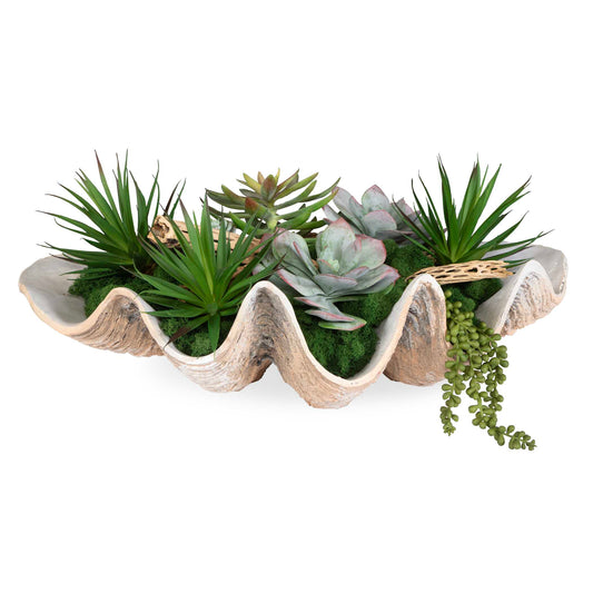 A Seaside Blend That Transports You Right To The Beach. A Mix Of Succulents, Natural Moss And Natural Cholla Wood Are Nestled Into A Neutral Finished Clam Shell Bowl.