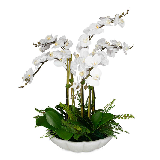 An Absolute Showstopper With Gracefully Arching Stems Of Crisp White, Real-touch Orchids. Adding Lush Appeal Is The Bed Of Naturally Preserved Moss With Boston Fern Accents, Displayed In An Elegant Bowl Crafted From Ivory Man-made Stone That Accurately Replicates The Look Of Thassos Marble.