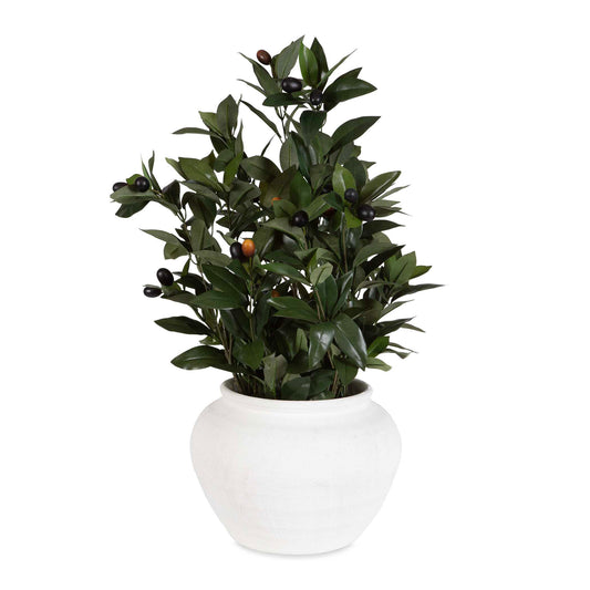 With Its Realistic Deep Green Leaves And Delicately Hued Olives, This Botanical Captures The Essence Of The Mediterranean Landscape. Paired With An Off-white Sculptural Vase Displaying An Organic Etched Texture.