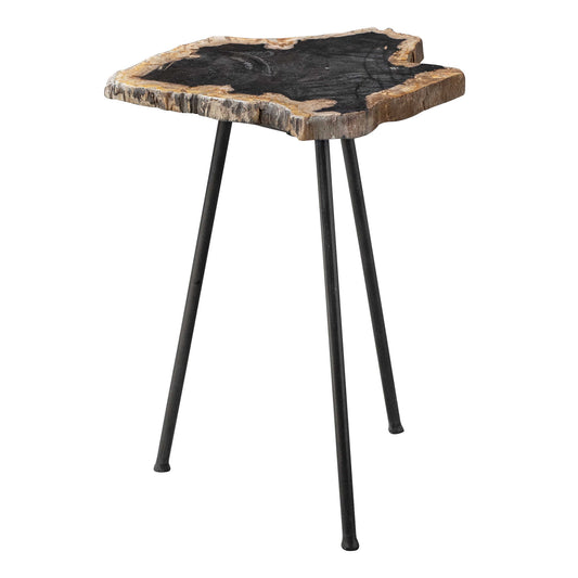 Featuring A Striking Cross Section Of Natural Petrified Wood With Unique Graining Details, Paired With Aged Black Finished Iron Legs. Due To The Authentic Nature Of The Design, Each Peace Will Have Unique Color Variations And A Size Range Of 10-17" Diameter.