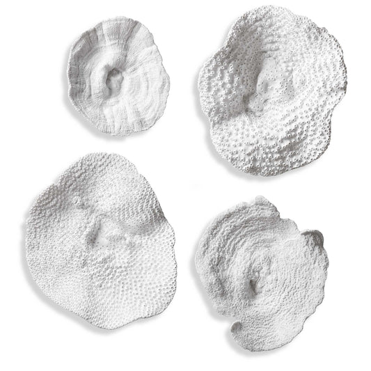 Heavily Textured To Mimic Live Sea Coral, Finished In Antique White.